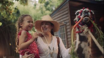 Delta Airlines in-flight commercial