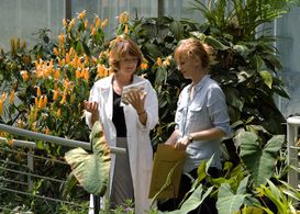 Anna Geislerová and Tatjana Medvecká in Lost Gate (2012)