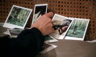 Lisbeth Hummel in The Beast (1975)