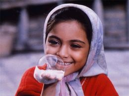 Bahare Seddiqi stars as Zohre