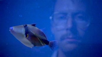 Andrew Swant as Jeffrey Dahmer (The Jeffrey Dahmer Files)