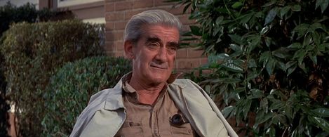 Philip Bourneuf in The Arrangement (1969)