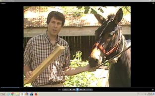 KTRK, Channel 13, Houston