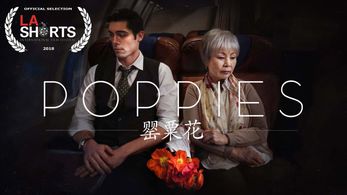 Poppies - Official Selection LA Shorts International Festival