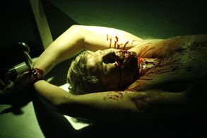 Cody Kasch, Jake Muxworthy, Carolina Garcia, Travis Van Winkle, and Sarah Roemer in Asylum (2008)