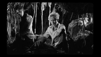 the wild boys by bertrand mandico