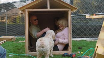 Susan Olsen, Mina Starsiak, and Mike Lookinland in Building Brady: Kitty Carryall (2019)