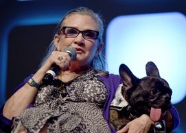 Carrie Fisher and Gary the Dog at an event for Rogue One: A Star Wars Story (2016)