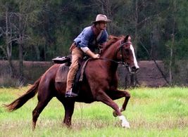 Dean Gould ='Wild Boys'