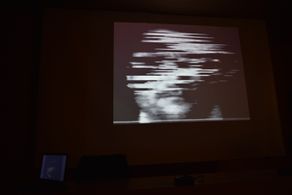 Plastic Him Screening at the ALC Video Art Festival