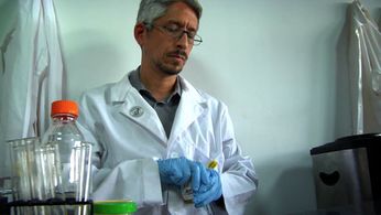 Researcher Brian Merriweather is having another thrilling day testing urine samples; 