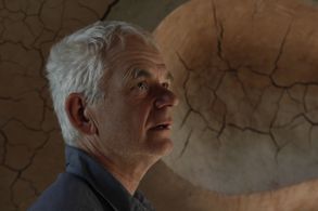 Andy Goldsworthy in Leaning Into The Wind (2017)