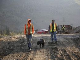 Dean Tosczak and Parker Schnabel in Gold Rush (2010)