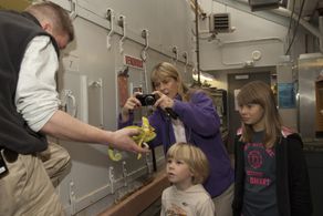 Terri Irwin, Bindi Irwin, and Robert Clarence Irwin in Free Willy: Escape from Pirate's Cove (2010)