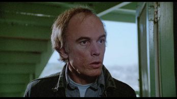 Michael Holmes in The Slayer (1982)