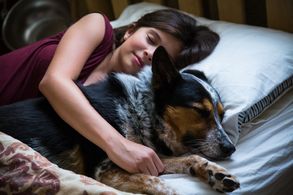 On the set of Pups Alone with Jumpy The Dog