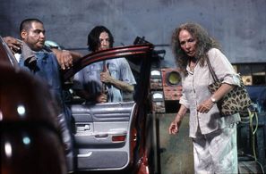 PUÑOS ROSAS / isela vega