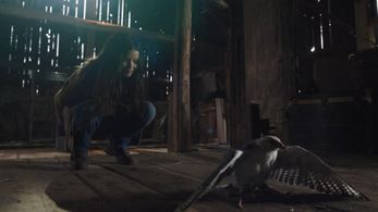 Still from FBI epsiode 18.