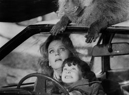 Lee Remick and Harvey Stephens in The Omen (1976)