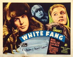 Thomas Beck, Jean Muir, Michael Whalen, and Lightning in White Fang (1936)