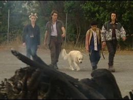 Beth Allen, Dwayne Cameron, Caleb Ross, and Ashwath Sundaresan in The Tribe (1999)