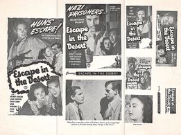 Helmut Dantine, Philip Dorn, and Jean Sullivan in Escape in the Desert (1945)