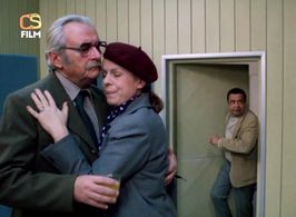 Iva Janzurová, Vladimír Mensík, and Jirí Sovák in Young Wine (1986)