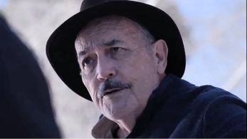 Falling Awake - Donald Pitts