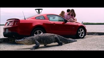 Neil Casey, Alex Jennings, and Nina Smilow in Gator Farm (2012)