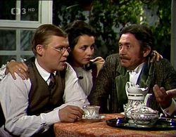 Veronika Freimanová, Tomás Juricka, and Petr Kostka in Na letním byte (1989)