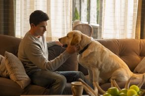 Robbie Amell in Upload (2020)