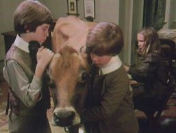 Max Harris, Tamzin Neville, and Gary Russell in The Phoenix and the Carpet (1976)