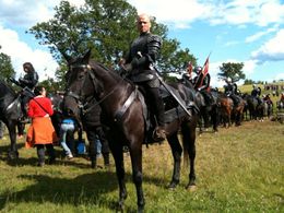 Mingus & George the horse