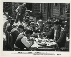 John Wayne, Robert Carradine, Alfred Barker Jr., Nicolas Beauvy, Steve Benedict, Sarah Cunningham, Norman Howell, Stephe