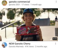 Gansito, Marinela