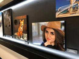 Photo by Jim Koepnick