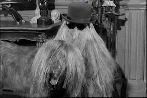 Felix Silla in The Addams Family (1964)