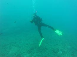 Leading a group of divers in the Mediterranean Sea