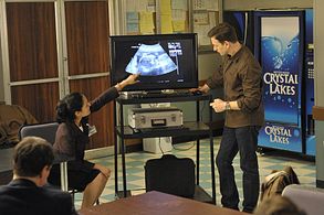 Josh Charles and Nicole Shalhoub in The Good Wife (2009)