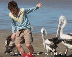 Finn Little in Storm Boy (2019)