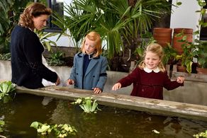 Lenka Krobotová and Josefína Marková in Zahradnictví: Rodinný prítel (2017)