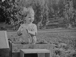 Don Marion in Down on the Farm (1920)