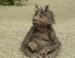 Francis Wright in Five Children and It (1991)