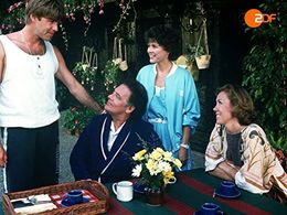 Gaby Dohm, Sascha Hehn, and Klausjürgen Wussow in The Black Forest Hospital (1985)