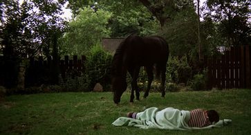 Kelly Reno and Cass-Olé in The Black Stallion (1979)