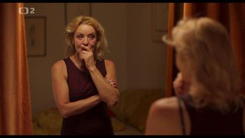 Vilma Cibulková in Zeny, které nespí (2020)