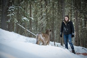 Abigail Lawrie in Tin Star
