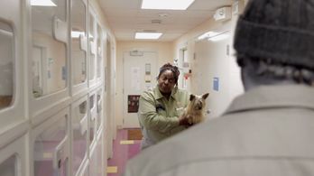 Seraiah Carol and Orien Richman in After the Wizard (2011)