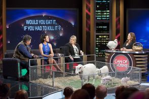 Megan Gale, Magda Szubanski, Chrissie Swan, and Matt Preston in Can of Worms (2011)