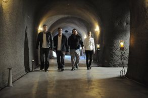 Michael Voltaggio, Bryan Voltaggio, Jennifer Carroll, and Kevin Gillespie in Top Chef (2006)